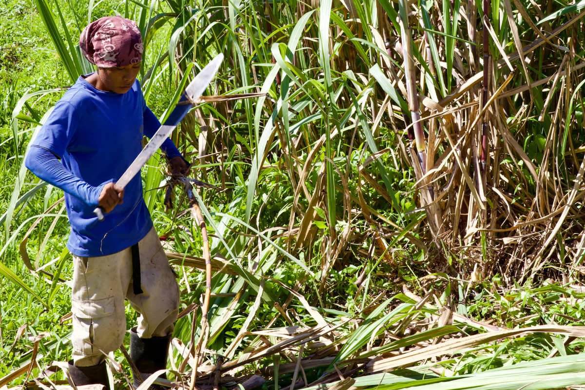 Travel Guide to Punta Gorda, Belize Fathom